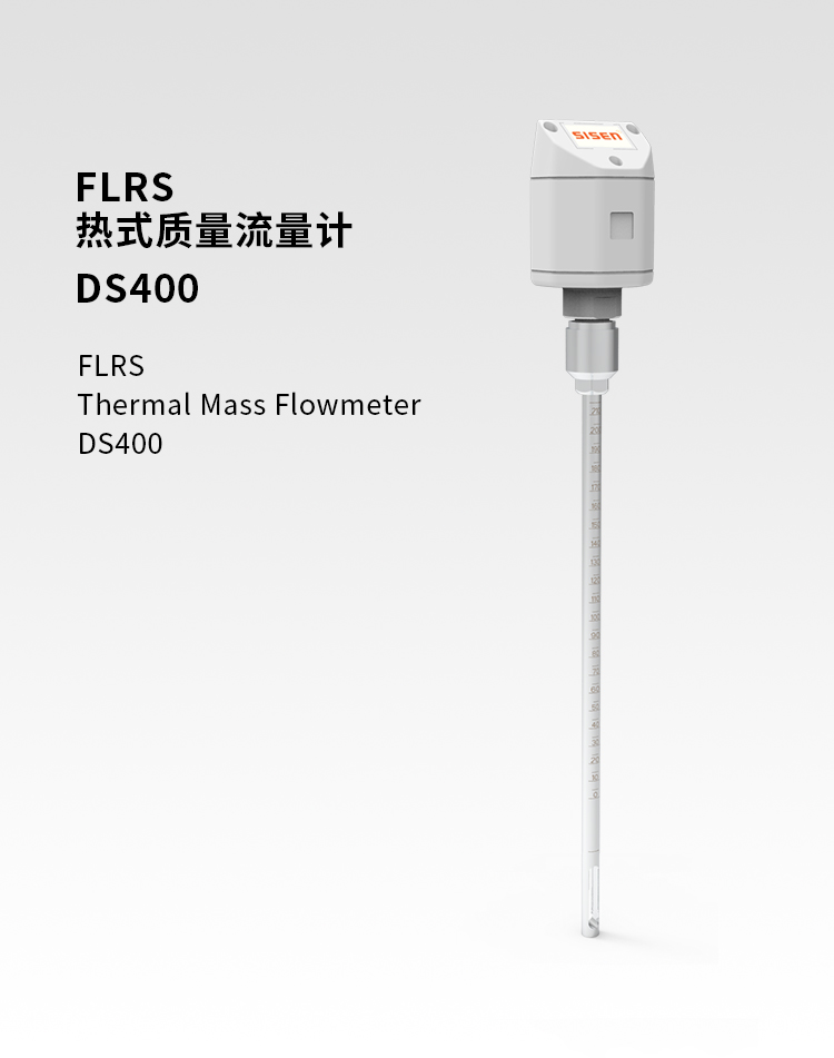 熱式質(zhì)量流量計(jì)DS400