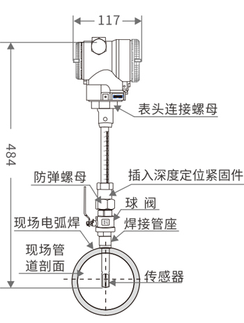 西森插入式熱式氣體質(zhì)量流量計安裝示意圖